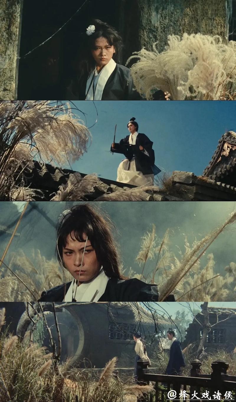 金湖重生记 金湖重生记